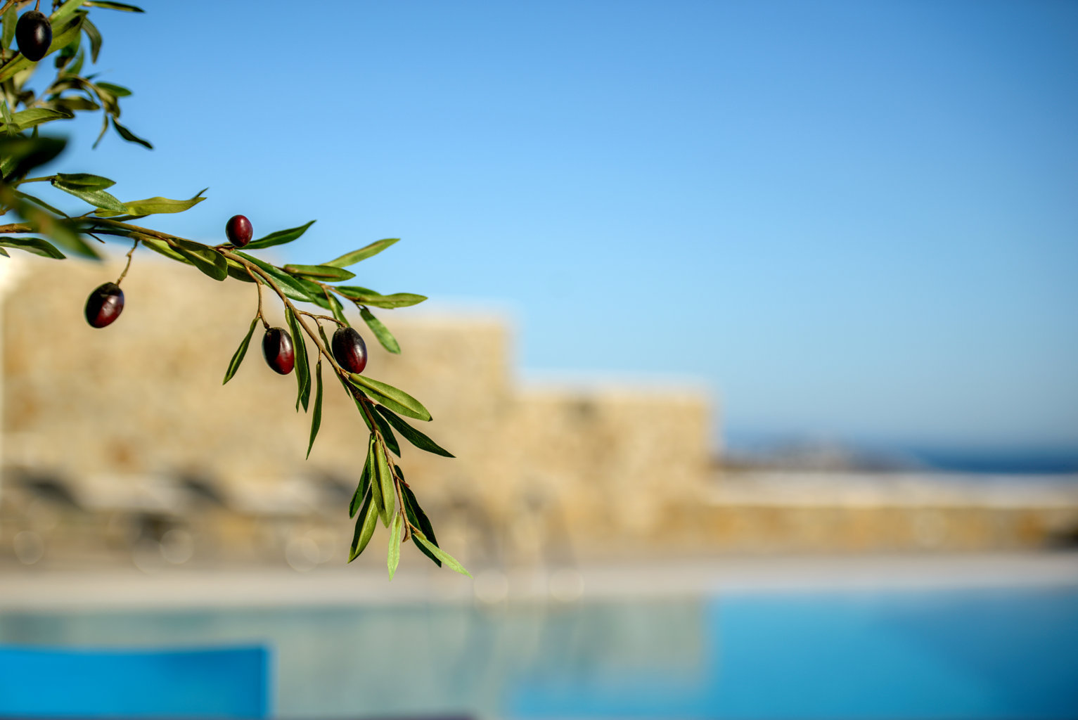 Lighthouse_Villas details6