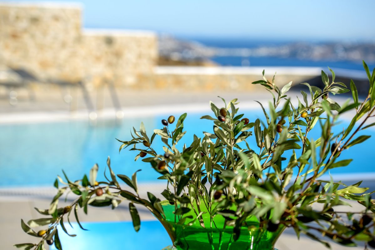 Lighthouse_Villas pool13